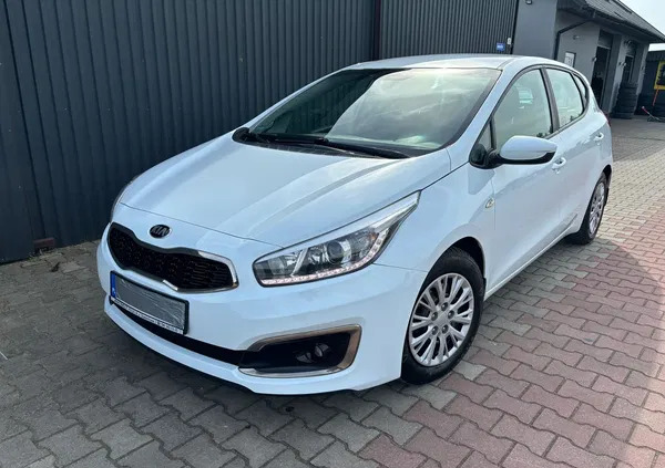 kia Kia Ceed cena 31999 przebieg: 205000, rok produkcji 2016 z Kielce